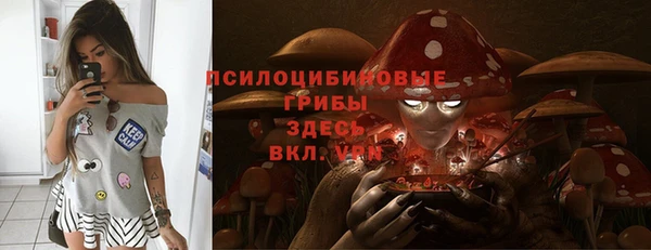 шишки Бронницы