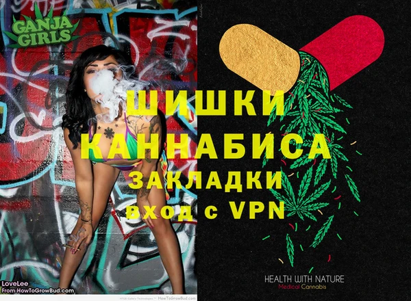 шишки Бронницы