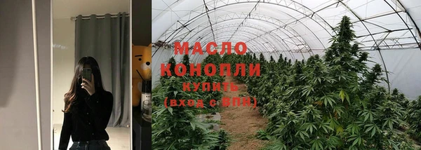 стаф Бородино