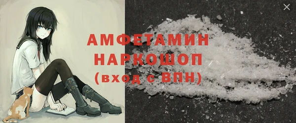 стаф Бородино