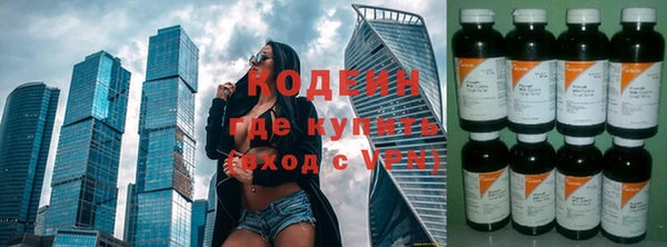 стаф Бородино