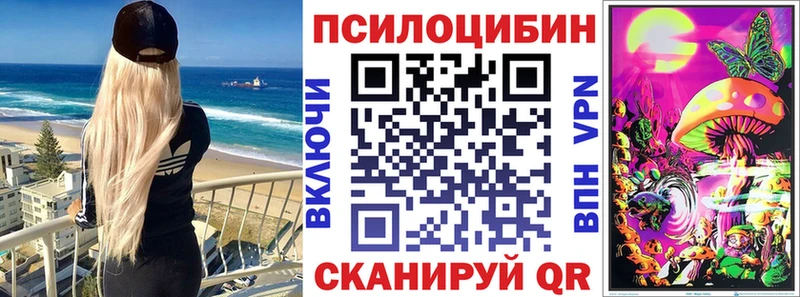 МЕГА сайт  Елизово  Псилоцибиновые грибы Psilocybe 