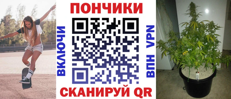 Марихуана тримм  где найти   Елизово 